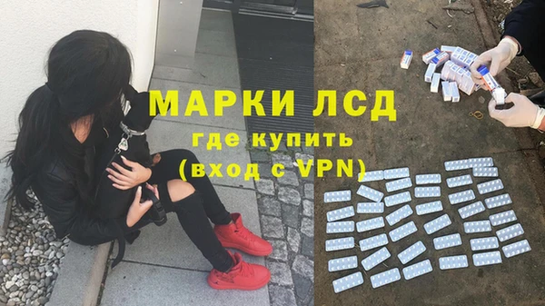 соль ск Алексин