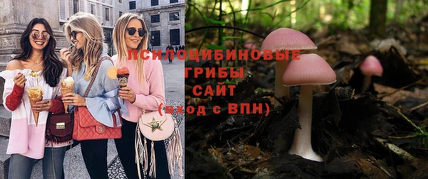 соль ск Алексин