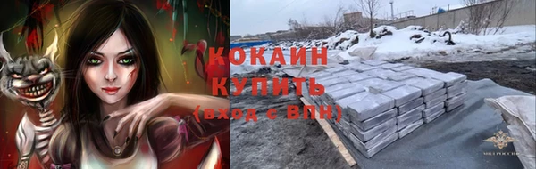 соль ск Алексин