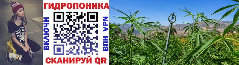 хочу   Курганинск  Бошки Шишки OG Kush 